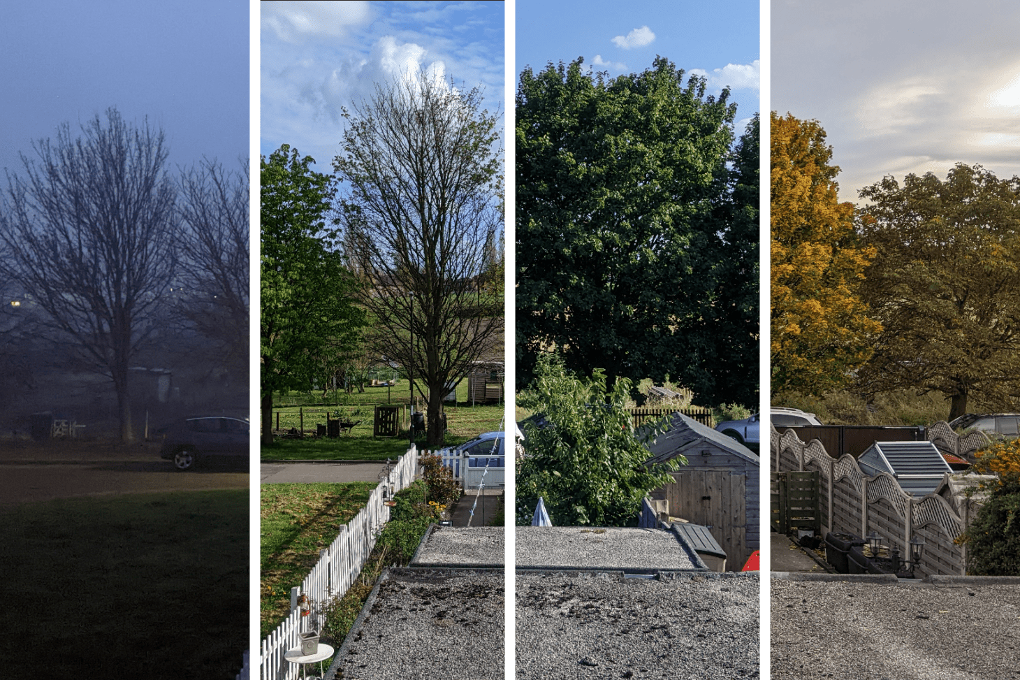 Spliced photos of all four seasons.