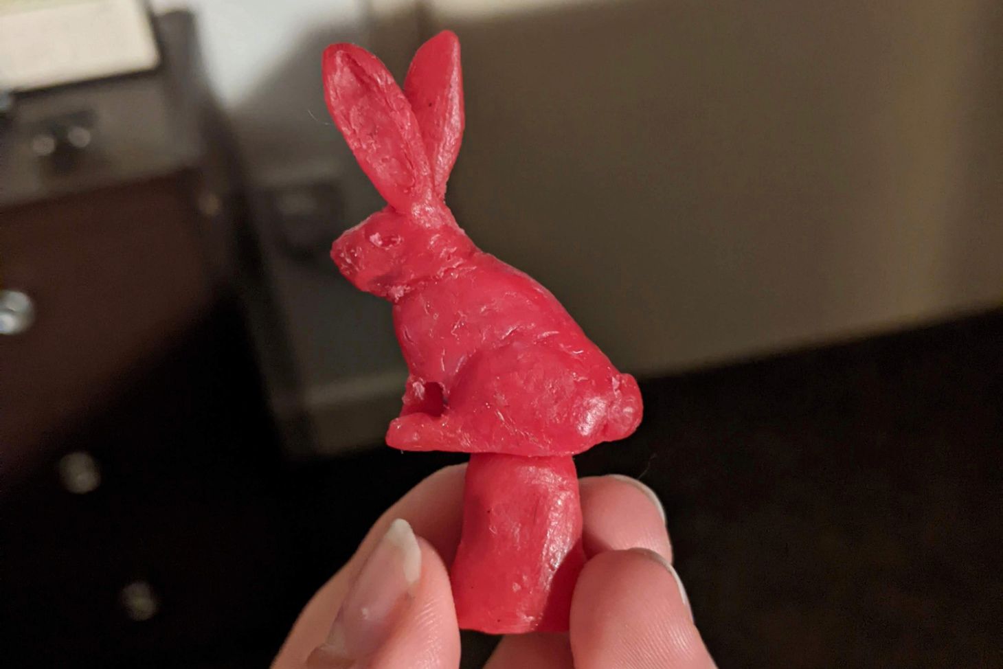 Wax model of rabbit.