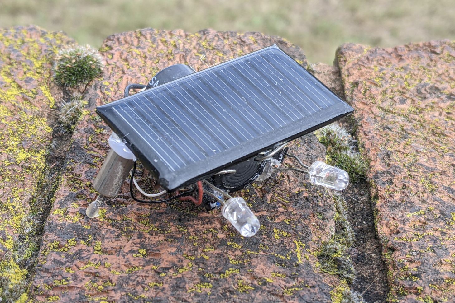 A FLED photopopper.